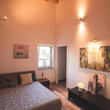 Oasi